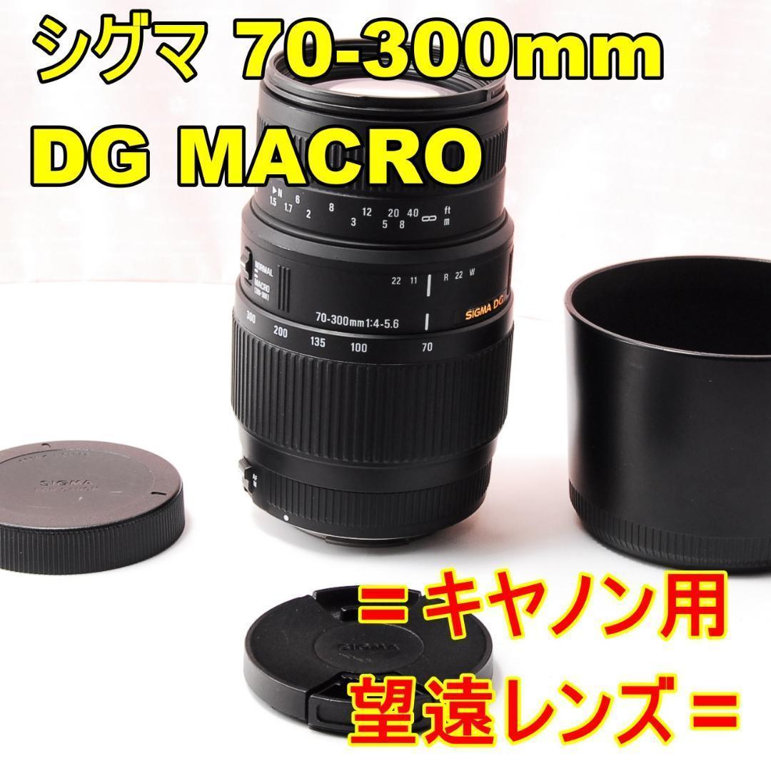 〓キヤノン用望遠レンズ〓シグマ 70-300mm F4-5.6 DG MACRO