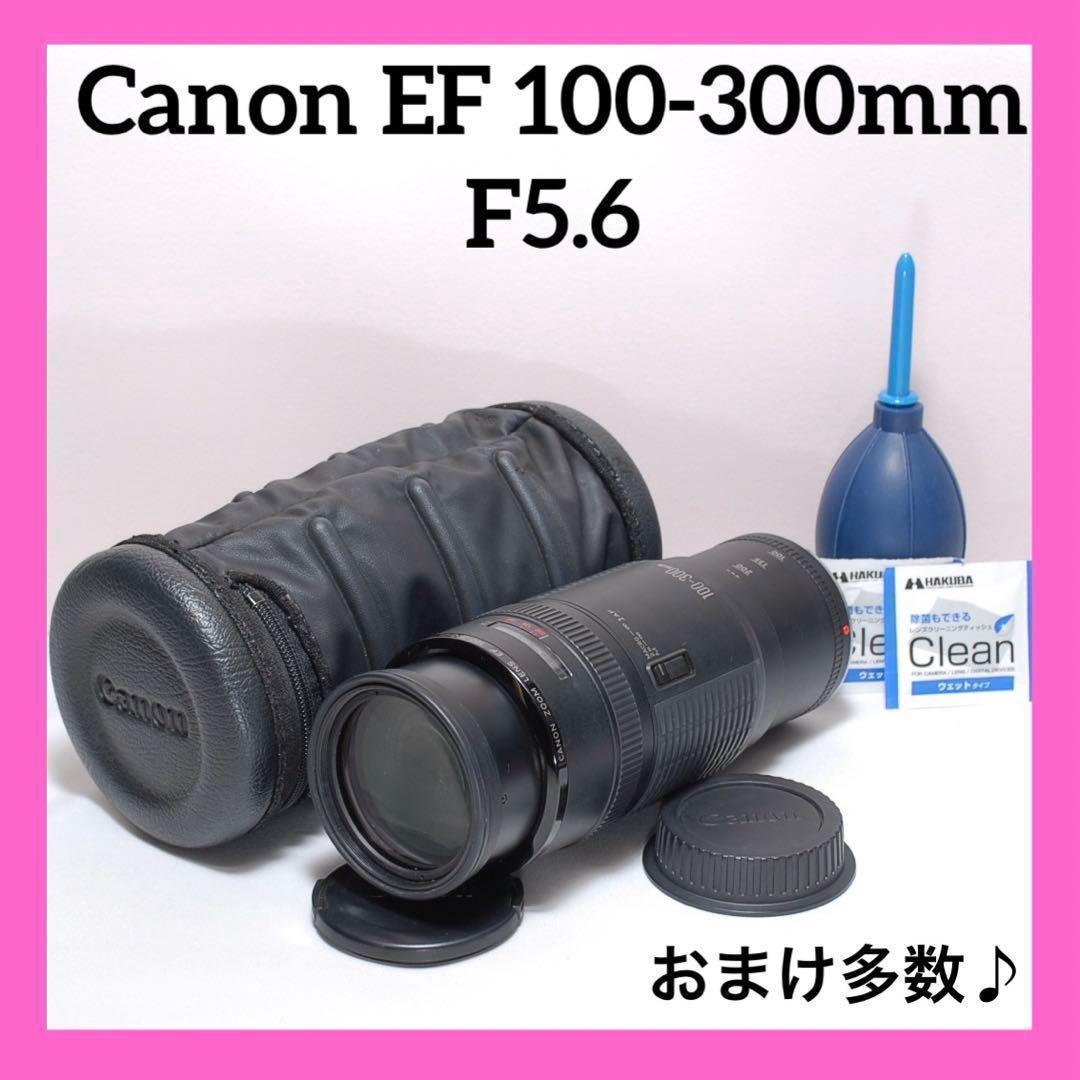 ✨F値固定✨Canon EF 100-300✨超望遠✨ズームレンズ✨スポーツ観戦