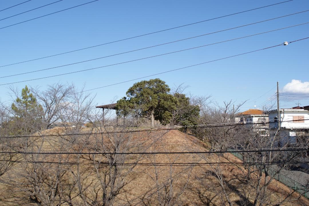 レンズ(単焦点) Minolta AF 24mm F/2.8 #7093