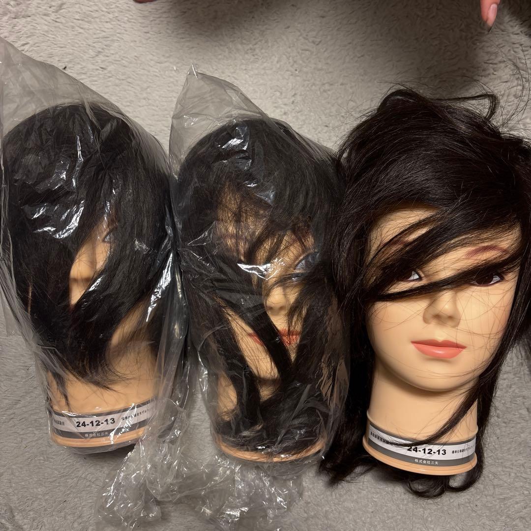 国試本番用カットウィッグ3体