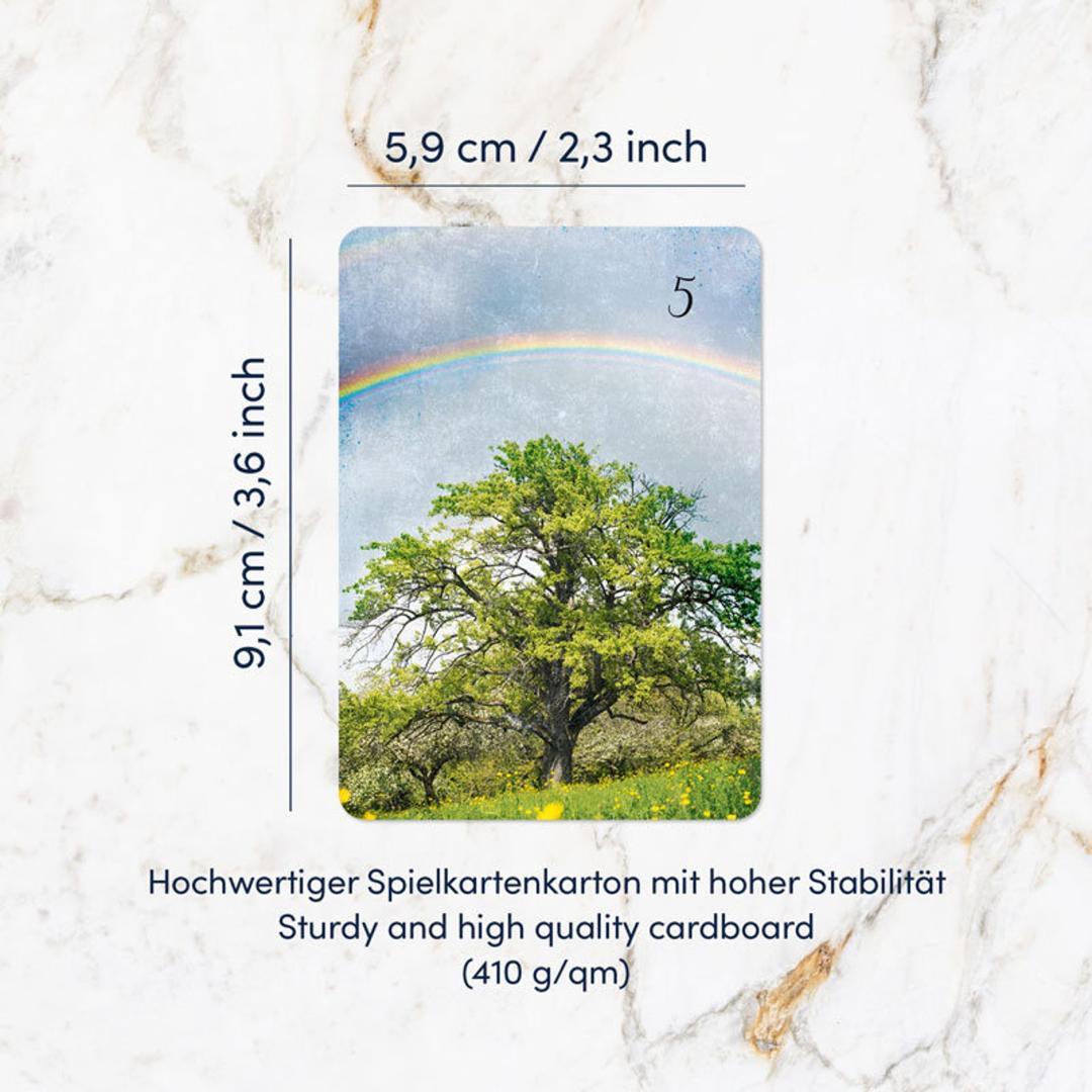 まろん★ルノルマン