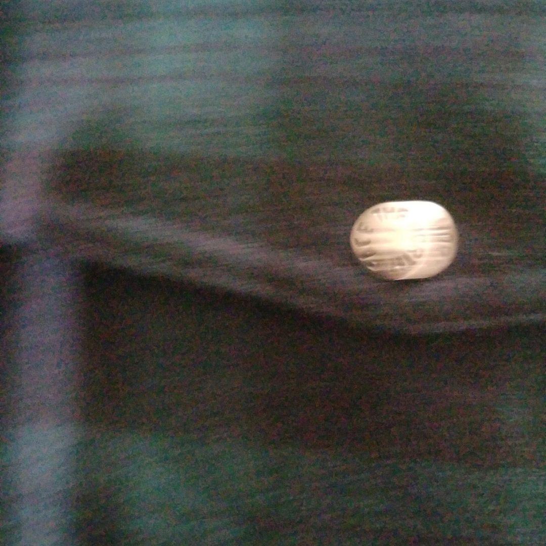 THE NORTH FACE ネルシャツ XL