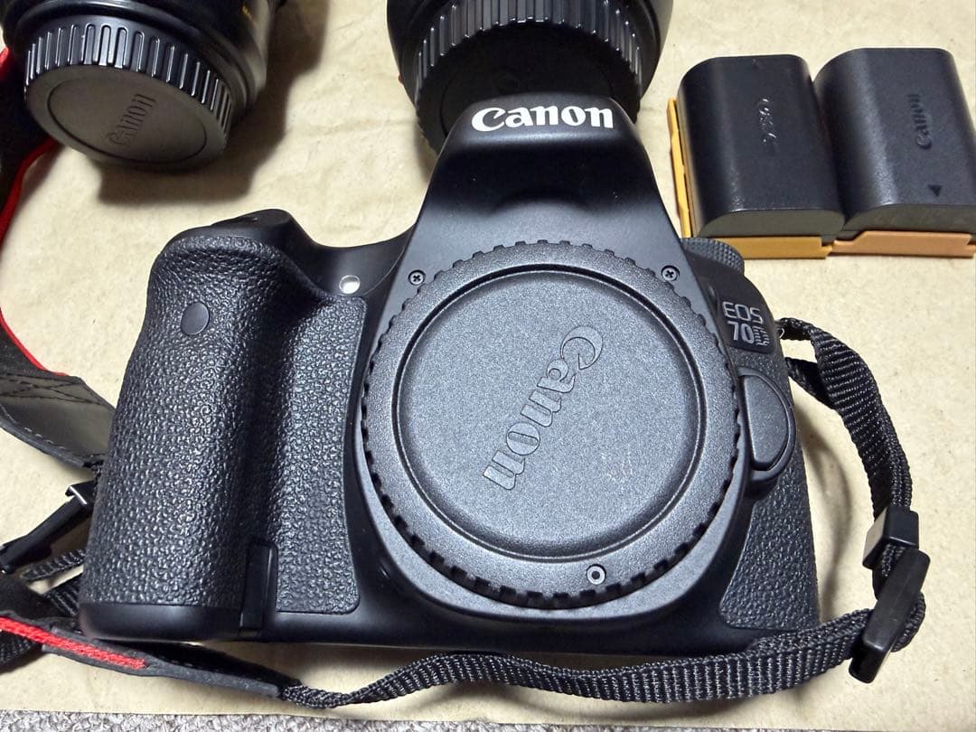 Canon デジタル一眼レフカメラ レンズ2本セット