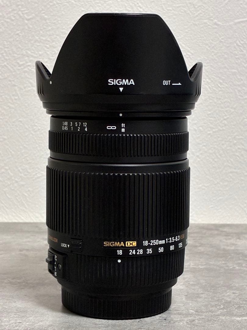 ⭐️美品⭐️SIGMA 18-250mm 3.5-6.3 DC OS HSM ソニー