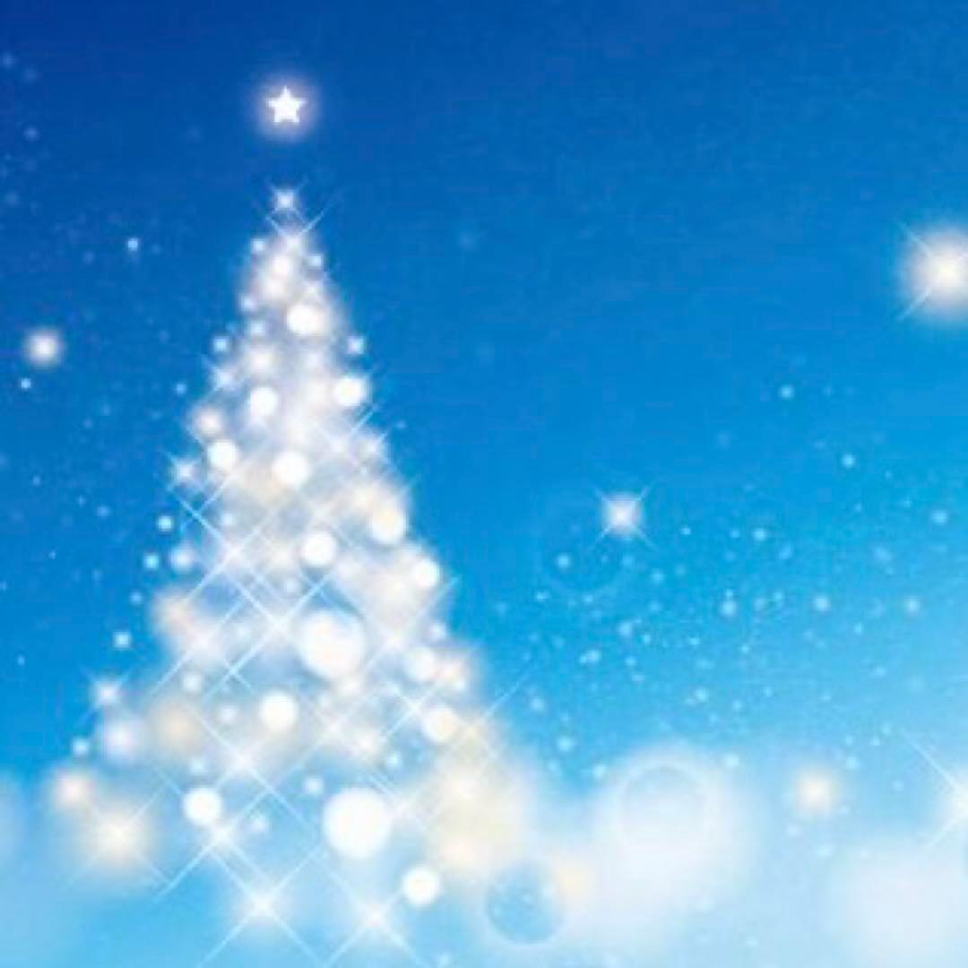 ヘアアクセサリー Orange