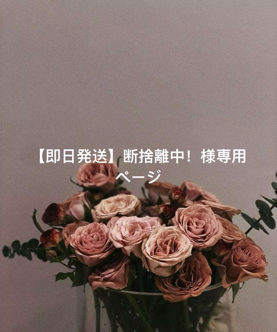 【即日発送】断捨離中！ページ