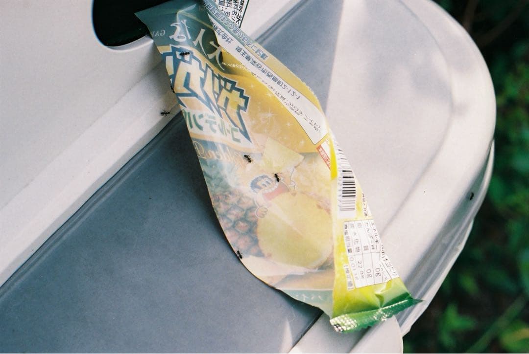 Nikon F2 おまけ付き