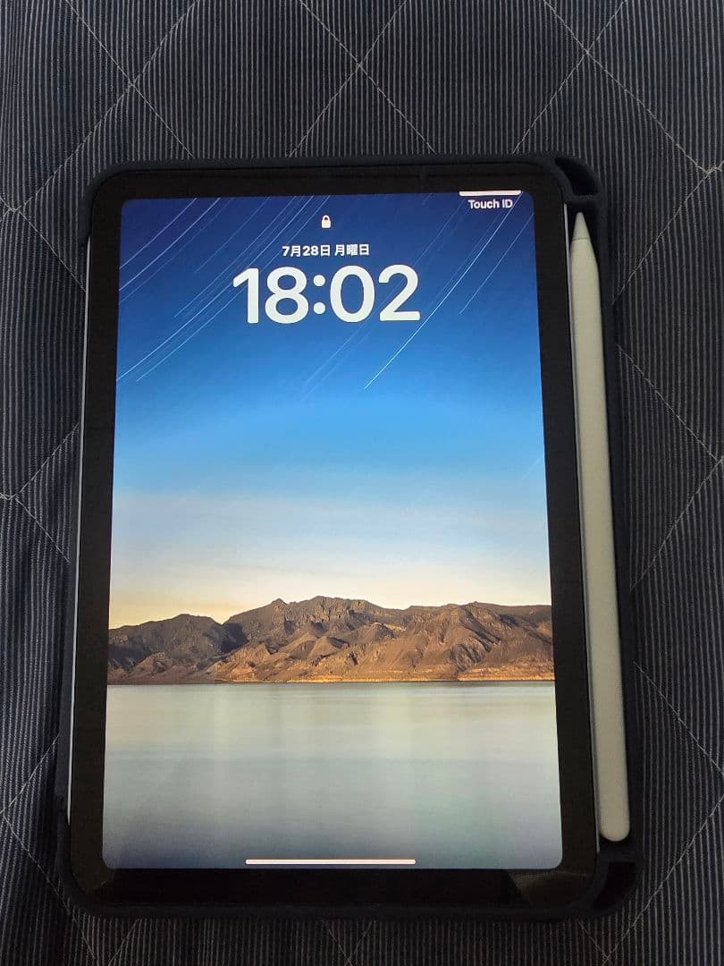 お*こ様 Apple iPad mini ブルー Apple Pencil付き