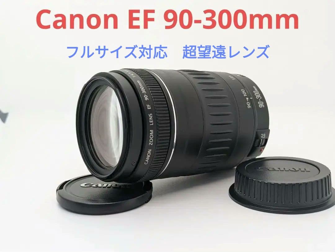 かねごん♪【超望遠レンズ】Canon EF 90-300mm