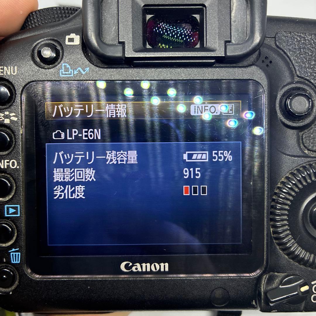 【ジャンク】 Canon EOS 5D Mark II バッテリーセット