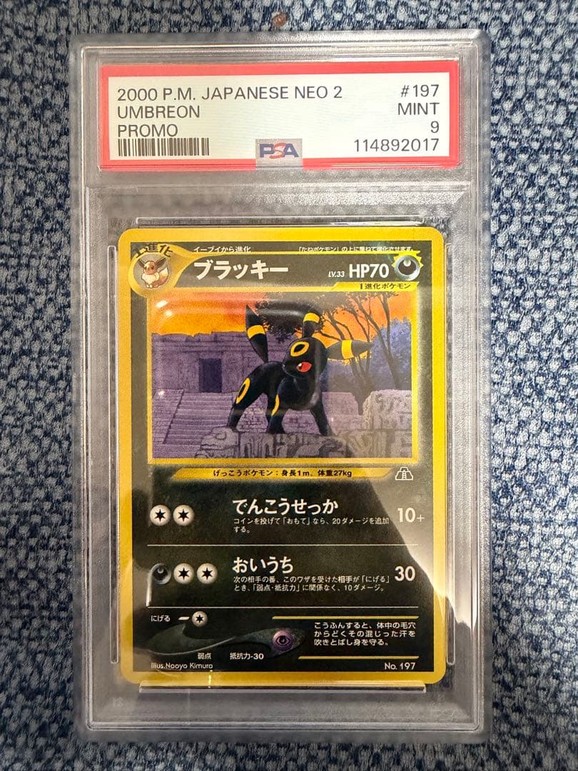 【PSA9】ブラッキー 旧裏 プレミアムファイル2 プロモ