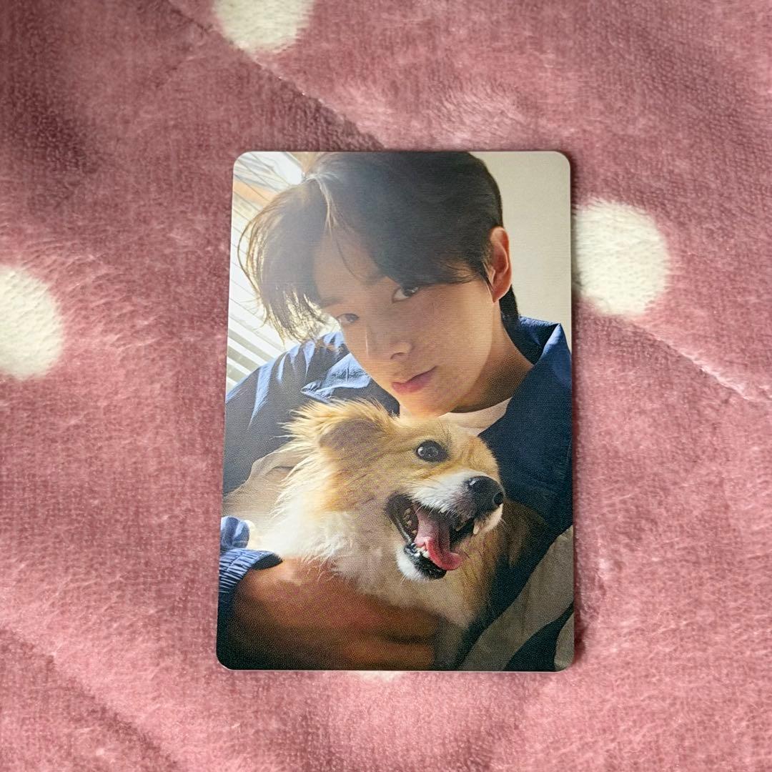 ENHYPEN エナプ FC 限定 アンケートトレカ 特典 ジェイク