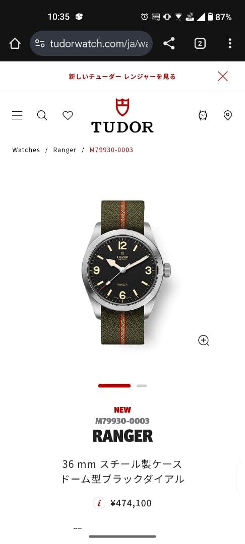 チューダーレンジャー36 純正ファブリックベルト