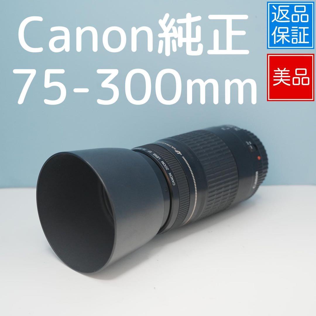 Canon純正 75-300mm 望遠レンズ 美品 a5042