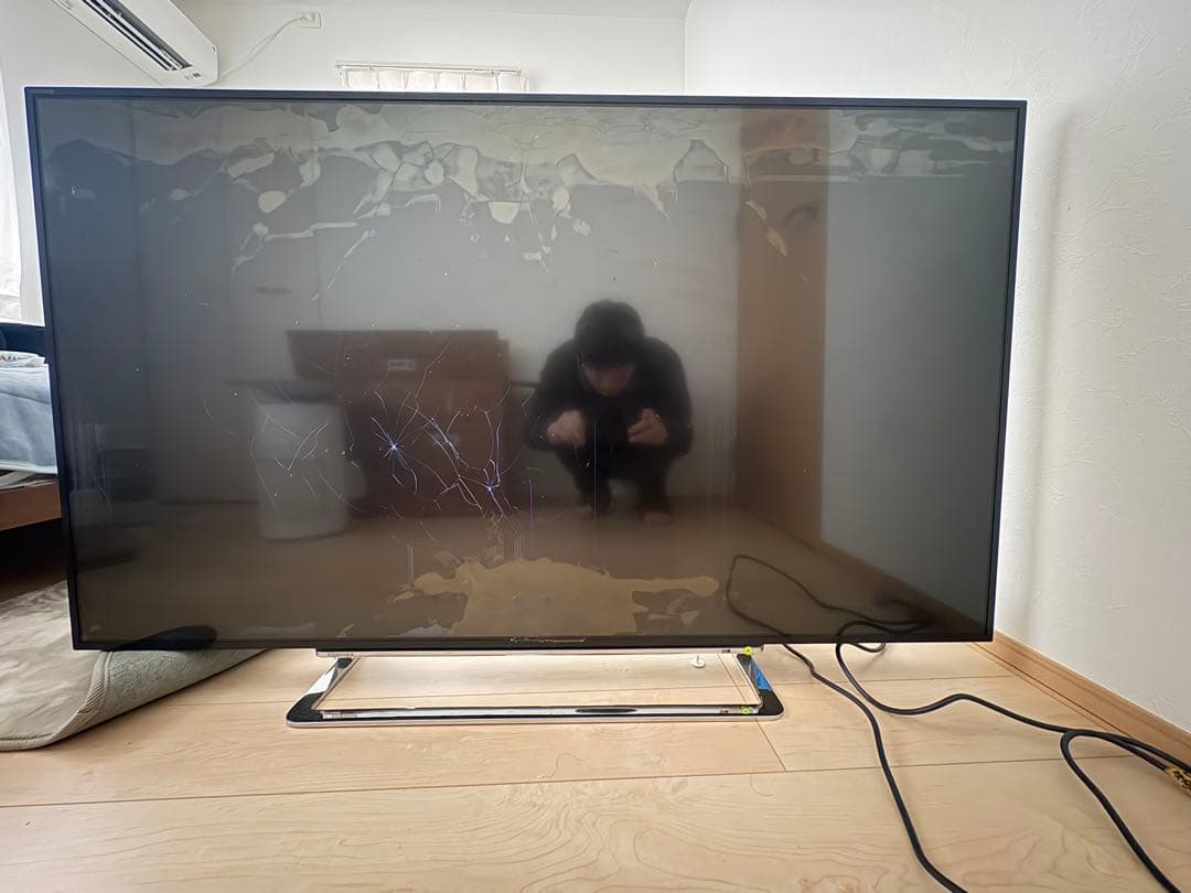 液晶テレビ　TOSHIBA　REGZA　55J10X ジャンク品
