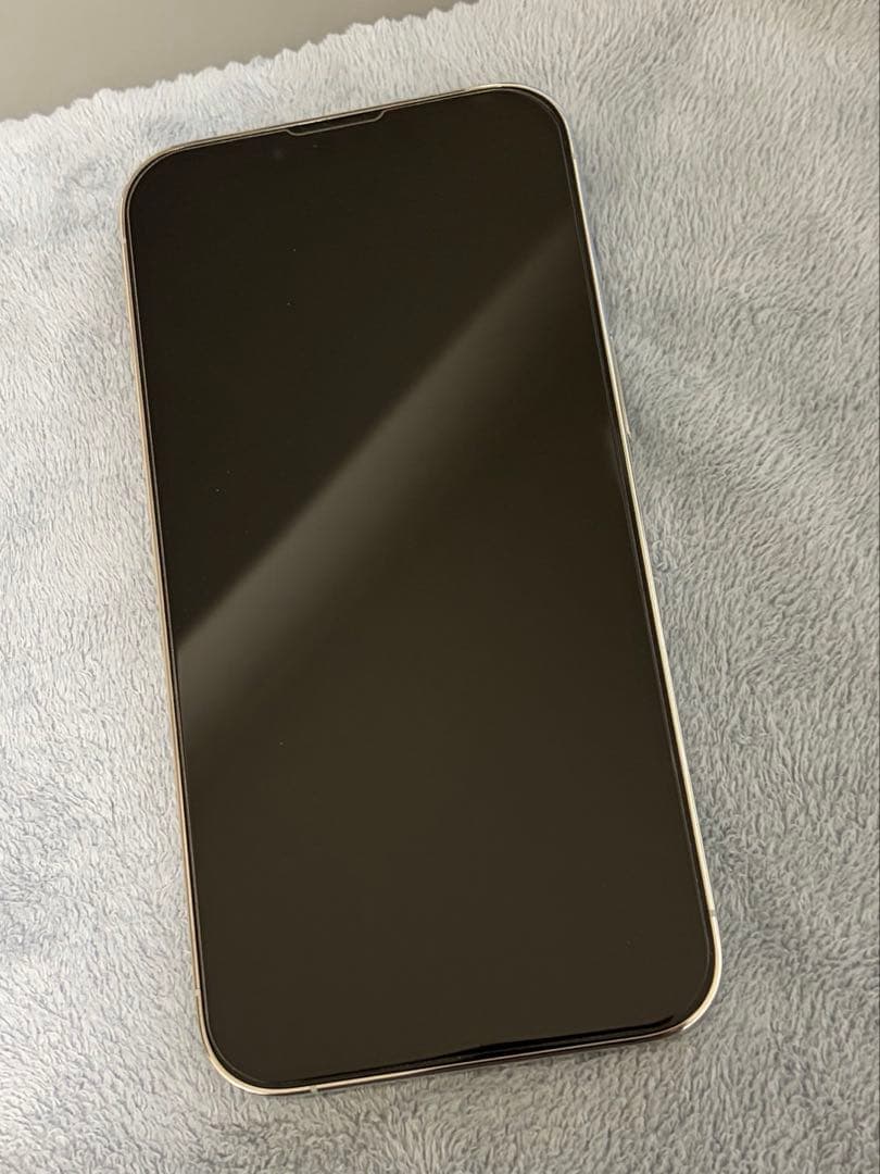 【美品】　iPhone 13 Pro 256GB グラファイト