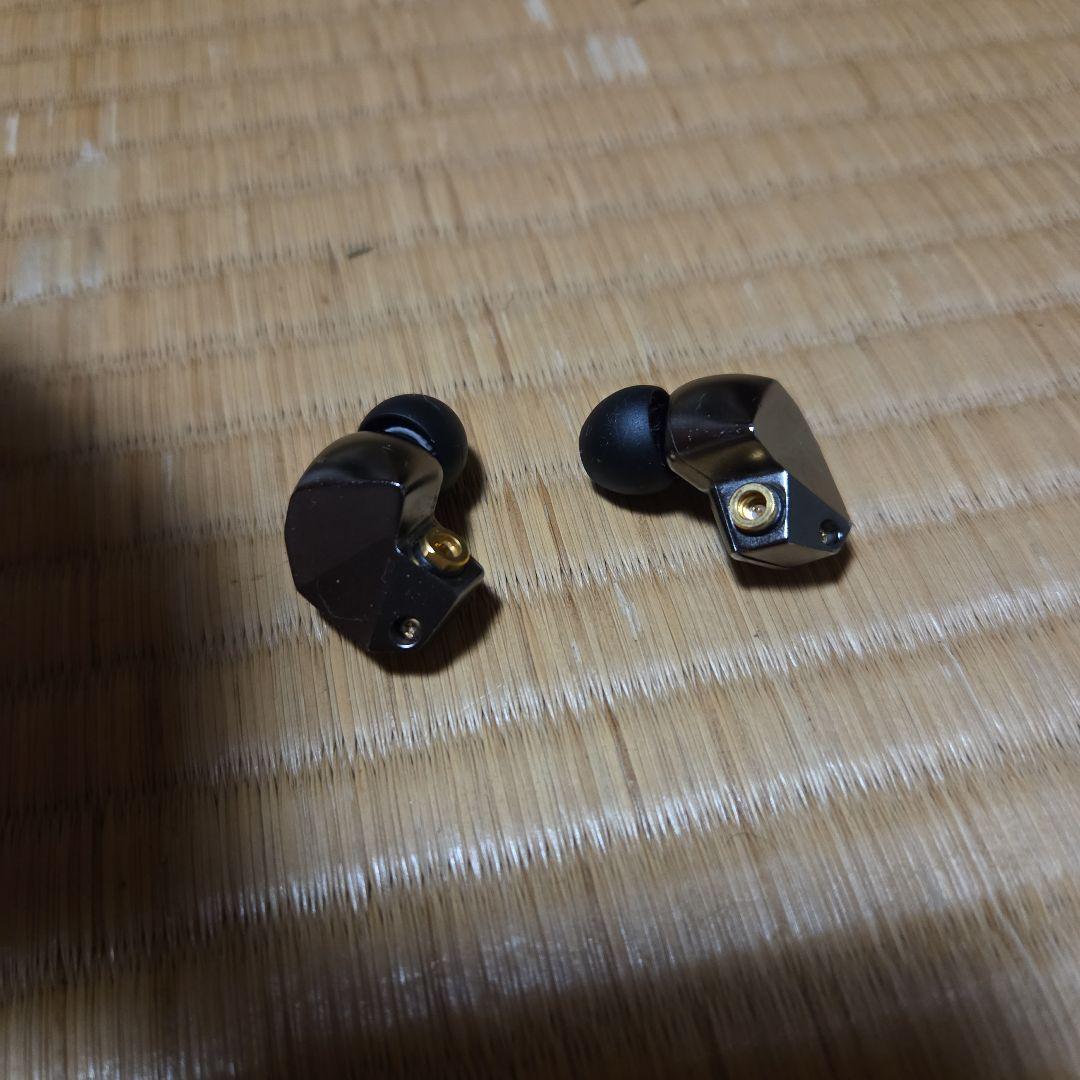 final B2 イヤホン本体のみ