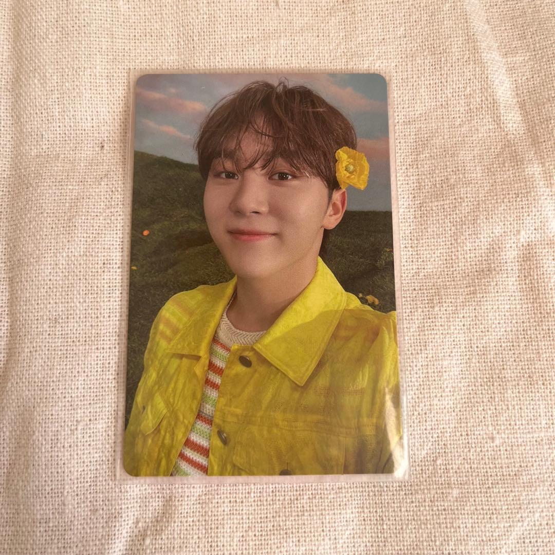 SEVENTEEN SECTOR 17 スングァン　target