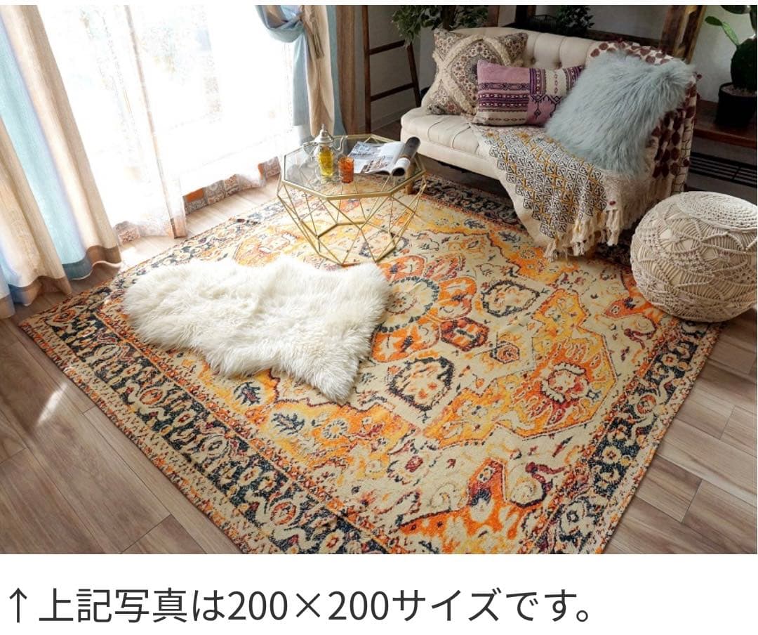 ✴︎りゅーさま 専用✴︎