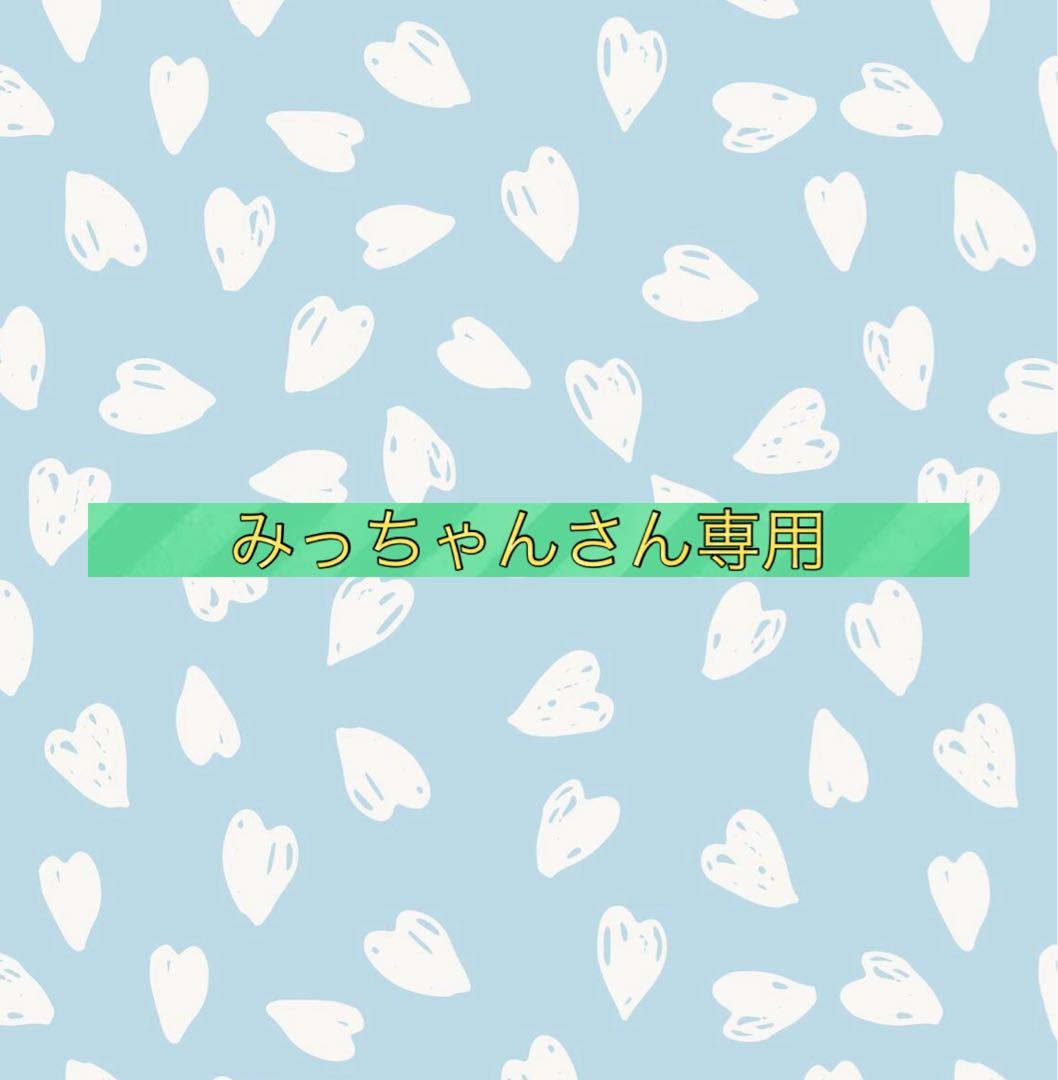 みっちゃんさん専用