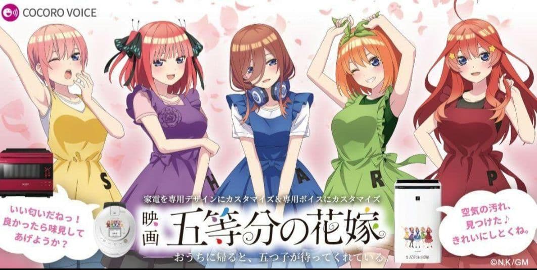 五等分の花嫁 ホットクック 水なし自動調理鍋 ブラック KN-HW10G-B