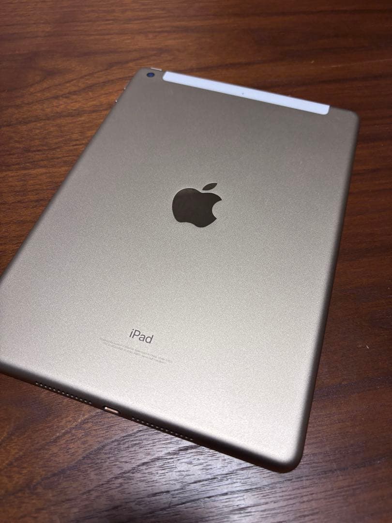 Apple iPad (第5世代) ゴールド 32GB ケース付き