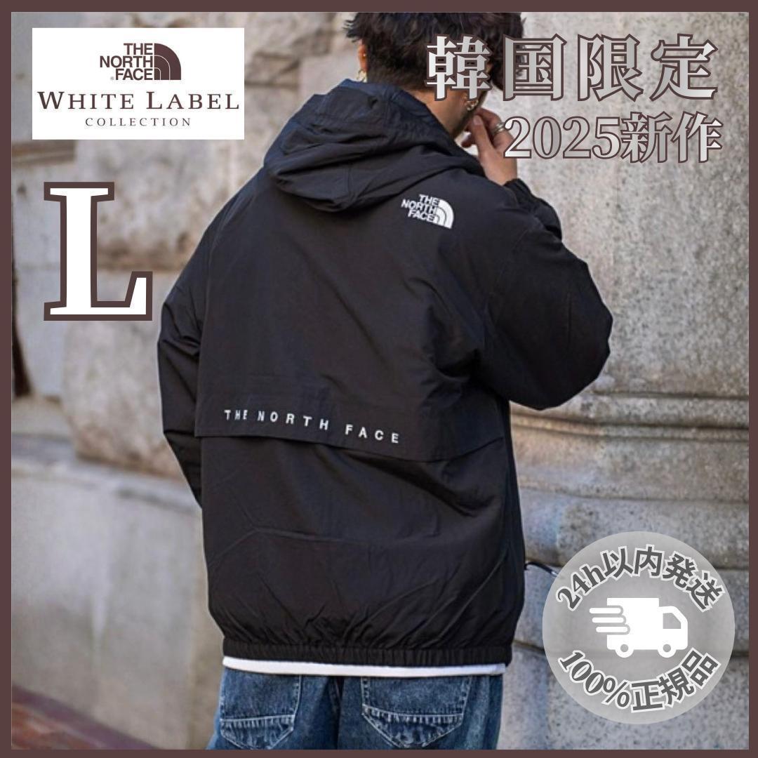 韓国限定✨ノースフェイスVILAN EX JACKET L ジャケット人気