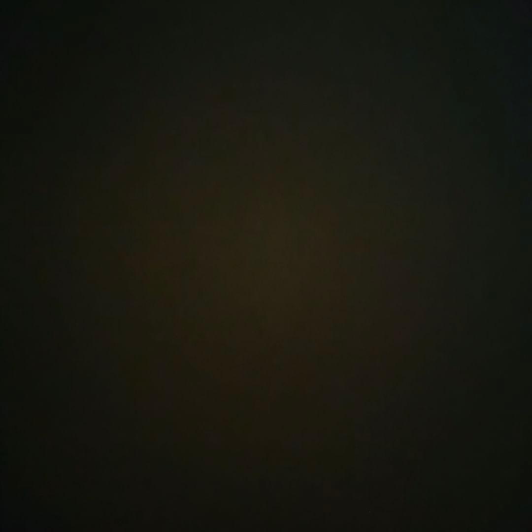 crlv RED WING 8874 クラシックモック US5 E