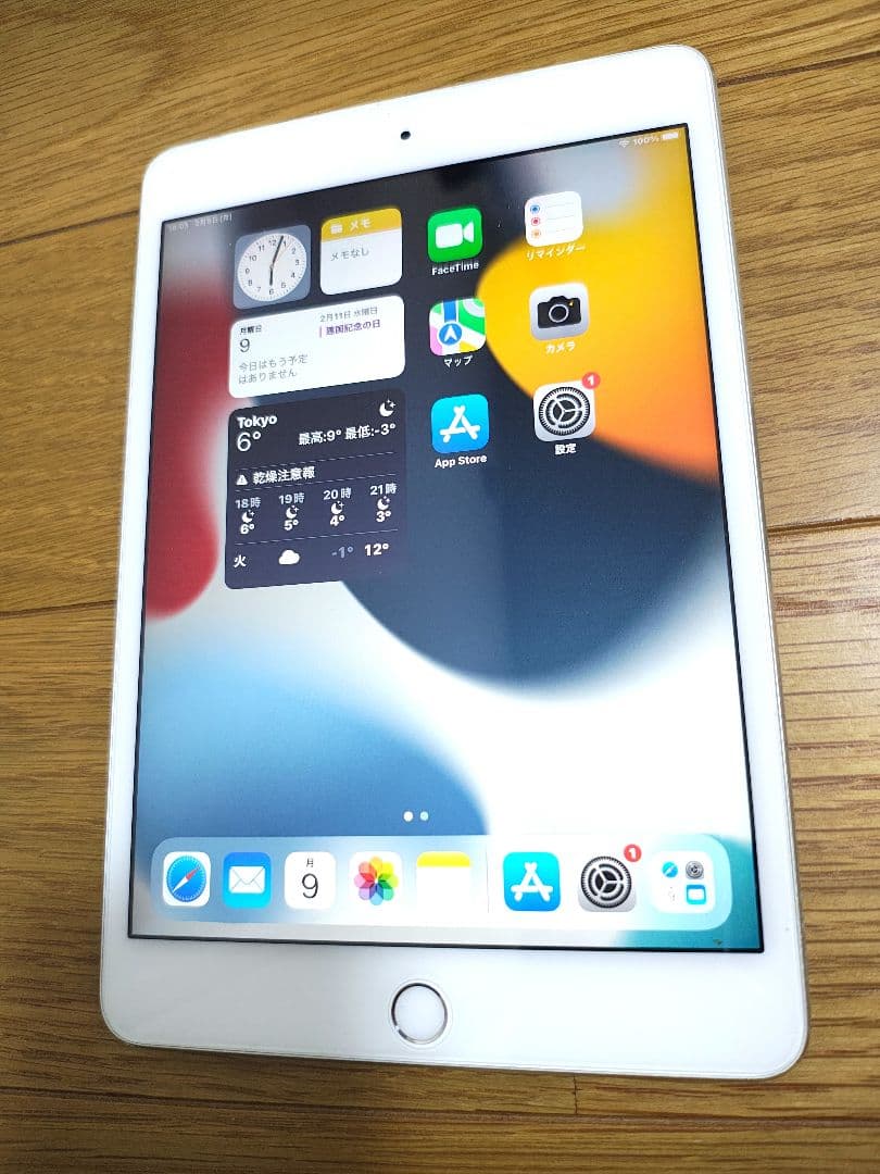 iPad mini4 16GB シルバー 本体 MK702J/A docomo