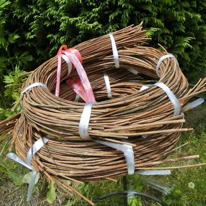 みっくん 青森県岩木山採取　あけび蔓　長 短 各1kg　合計2kg 練習用