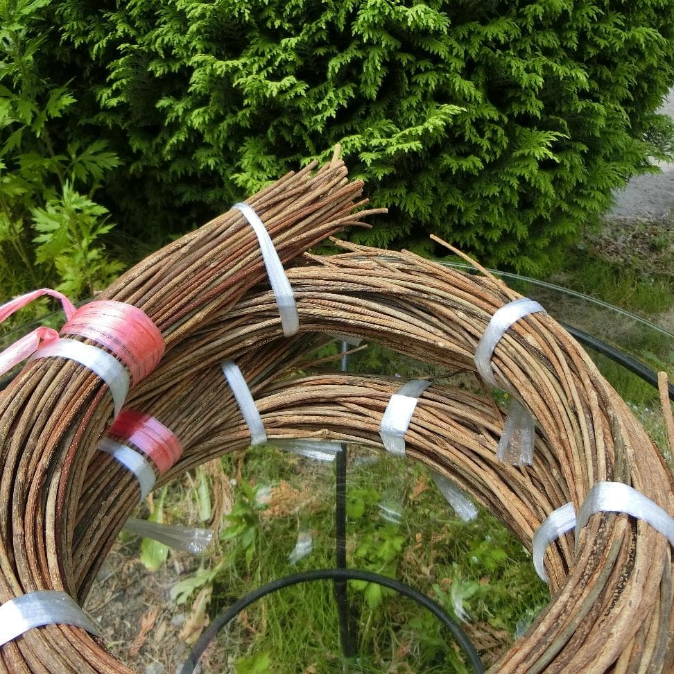 みっくん 青森県岩木山採取　あけび蔓　長 短 各1kg　合計2kg 練習用