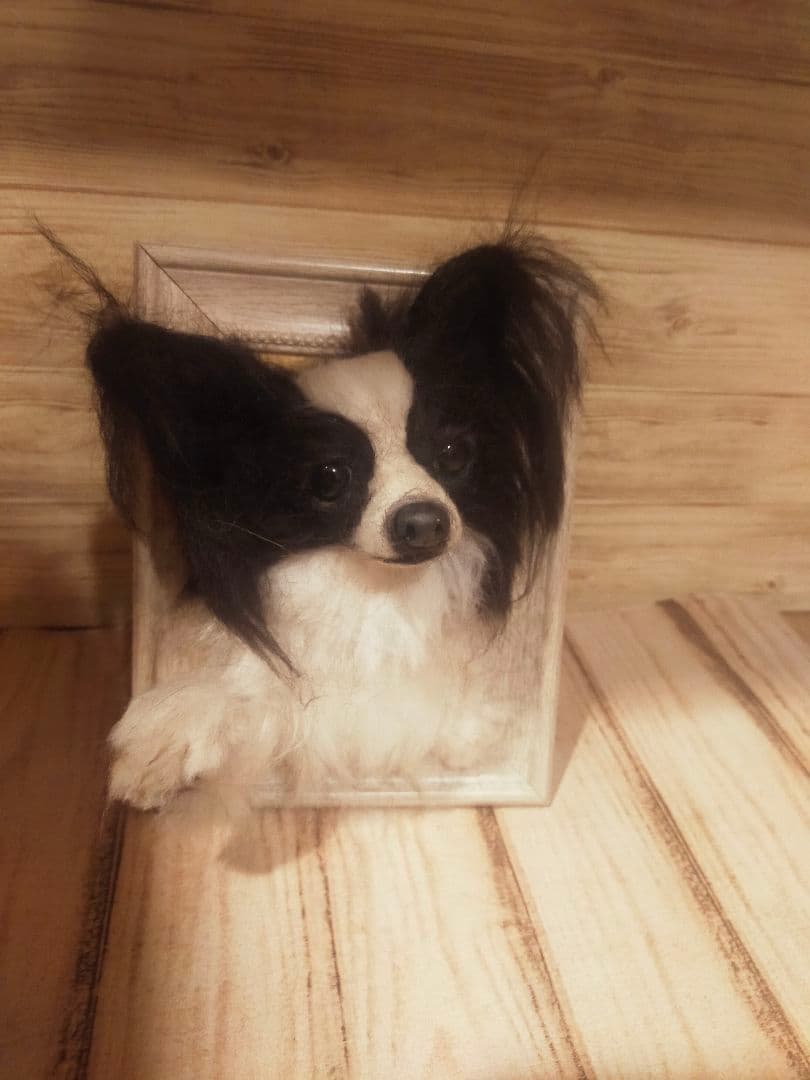 羊毛フェルト　ハンドメイド　犬　パピヨン　フレーム