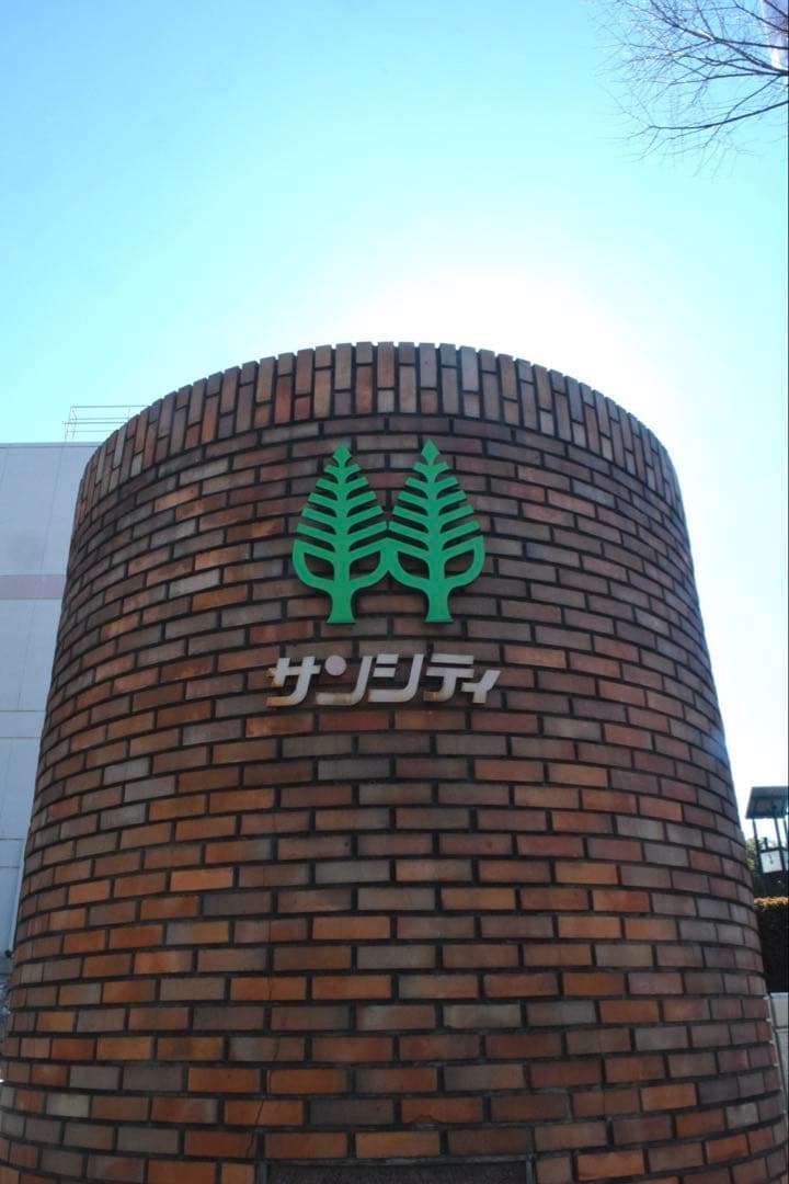 Nikon D5300 AF-S18-５５GiiVR サンパック　PF30X