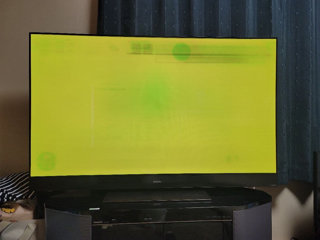 DEN DEN VIERA 有機EL TH-55GZ2000 訳あり品