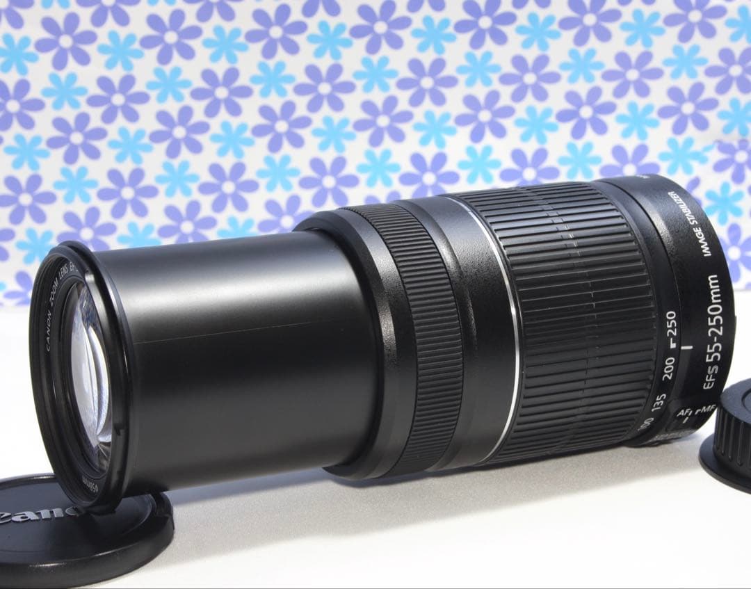 超望遠レンズ❤️Canon EF-S 55-250mm IS II❤️手振れ補正❤️