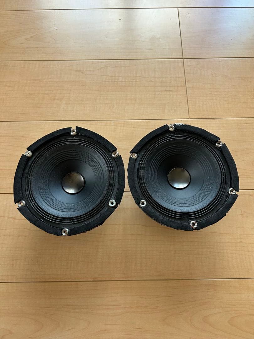 carrozzeria　TS-M1RSⅡ