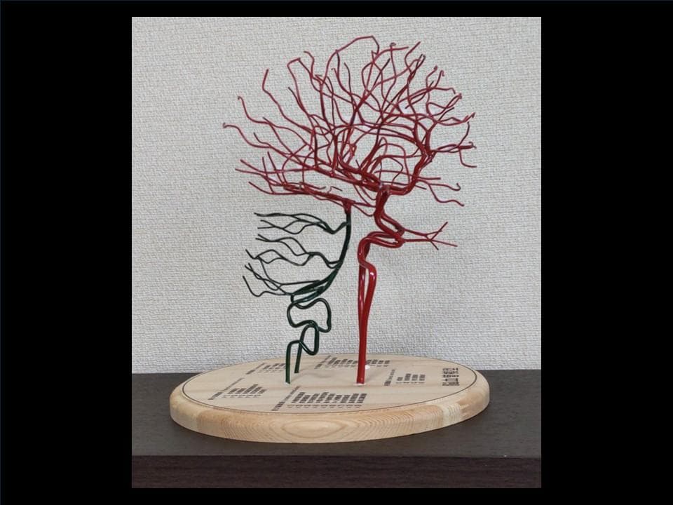 脳血管（内頸動脈、椎骨動脈）模型