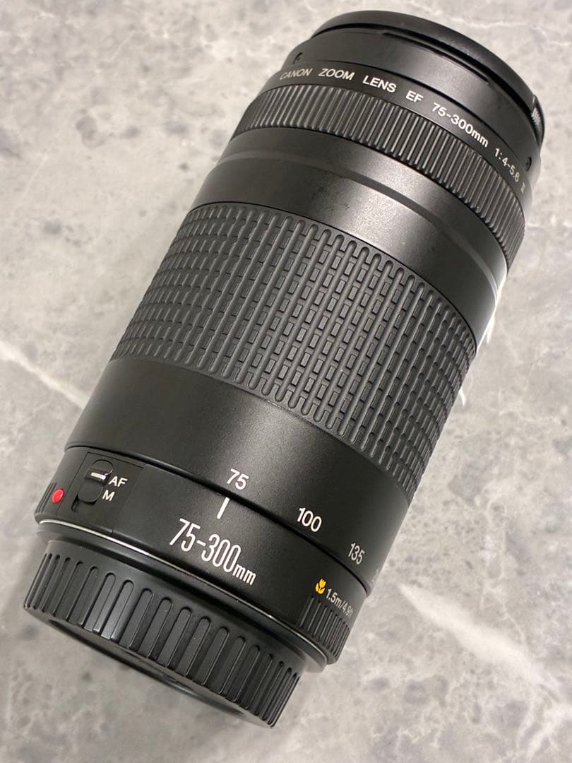 ⭐️美品⭐️キャノン Canon EF 75-300mm F/4-5.6 II 望遠
