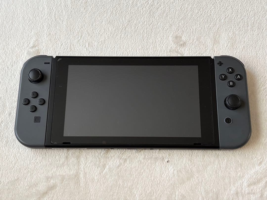 Nintendo Switchグレー　プロコントローラー　収納ケース