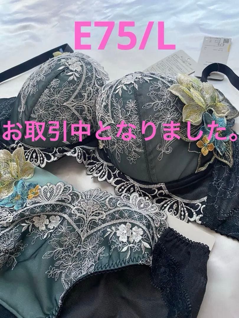 ワコール サルート13G シンデレラ　ブラショーツセットE75/L