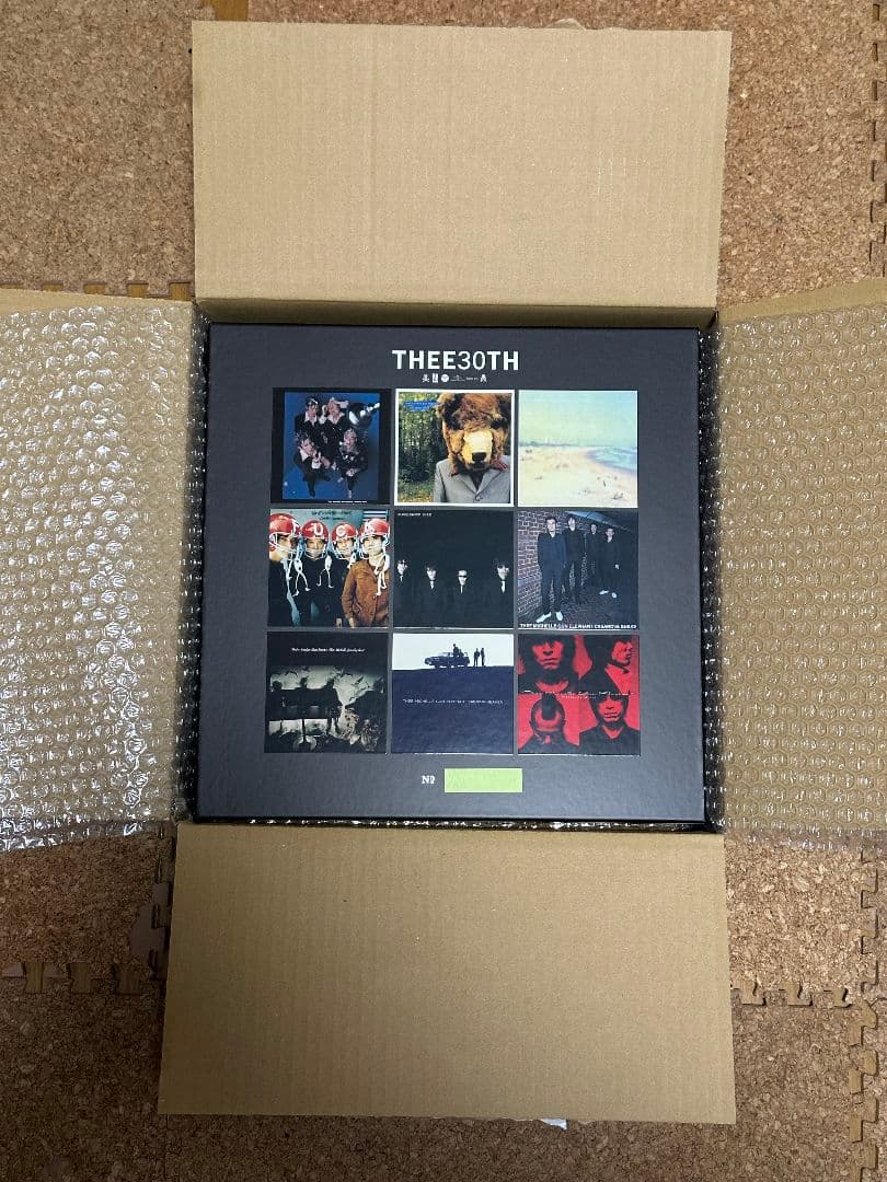 非売品 THEE 30TH 500個限定 アナログ収納BOX