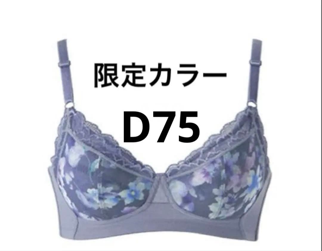 専用です　限定カラー　新感覚のノンワイヤーブラジャー　D75 ショーツL