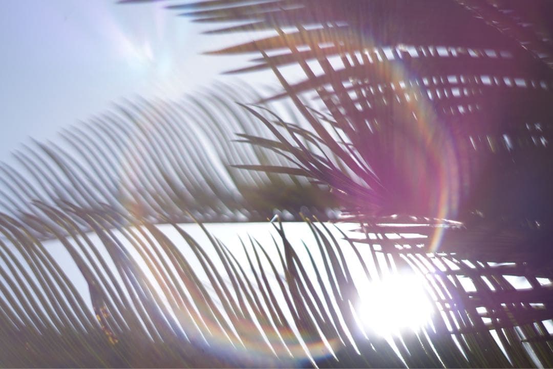 【前期型】Super Takumar 55mm f1.8 分解清掃済み