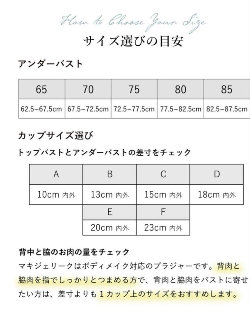 新品　マルコ　F80 マキジェリーク　スタイルアップ4/5カップセミロングブラ