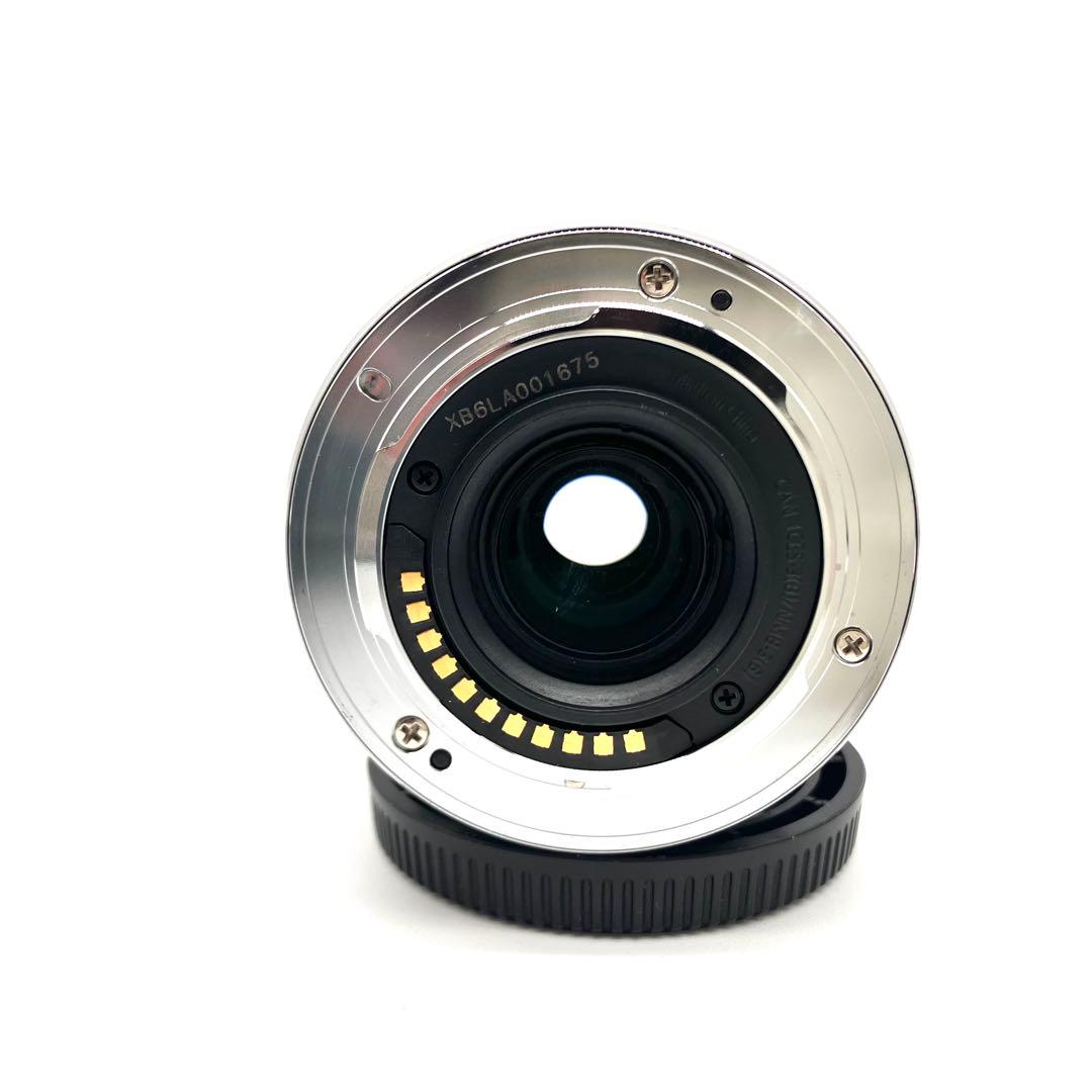 美品 Panasonic LUMIX G VARIO 35-100mm