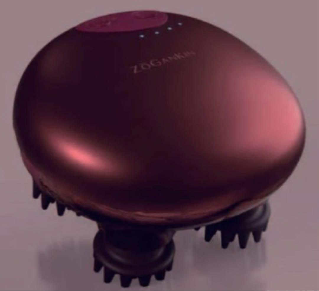 ゾーガンキンスカルプ 限定エディション