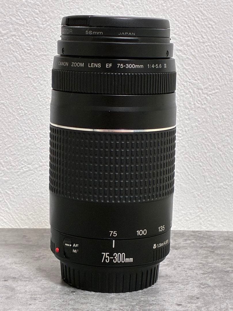 ⭐️完動品⭐️ Canon EF 75-300mm F4-5.6 III 望遠レンズ