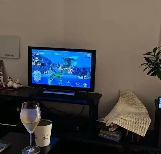 REGZAテレビ24型(リモコン用電池、取り扱い説明書付)