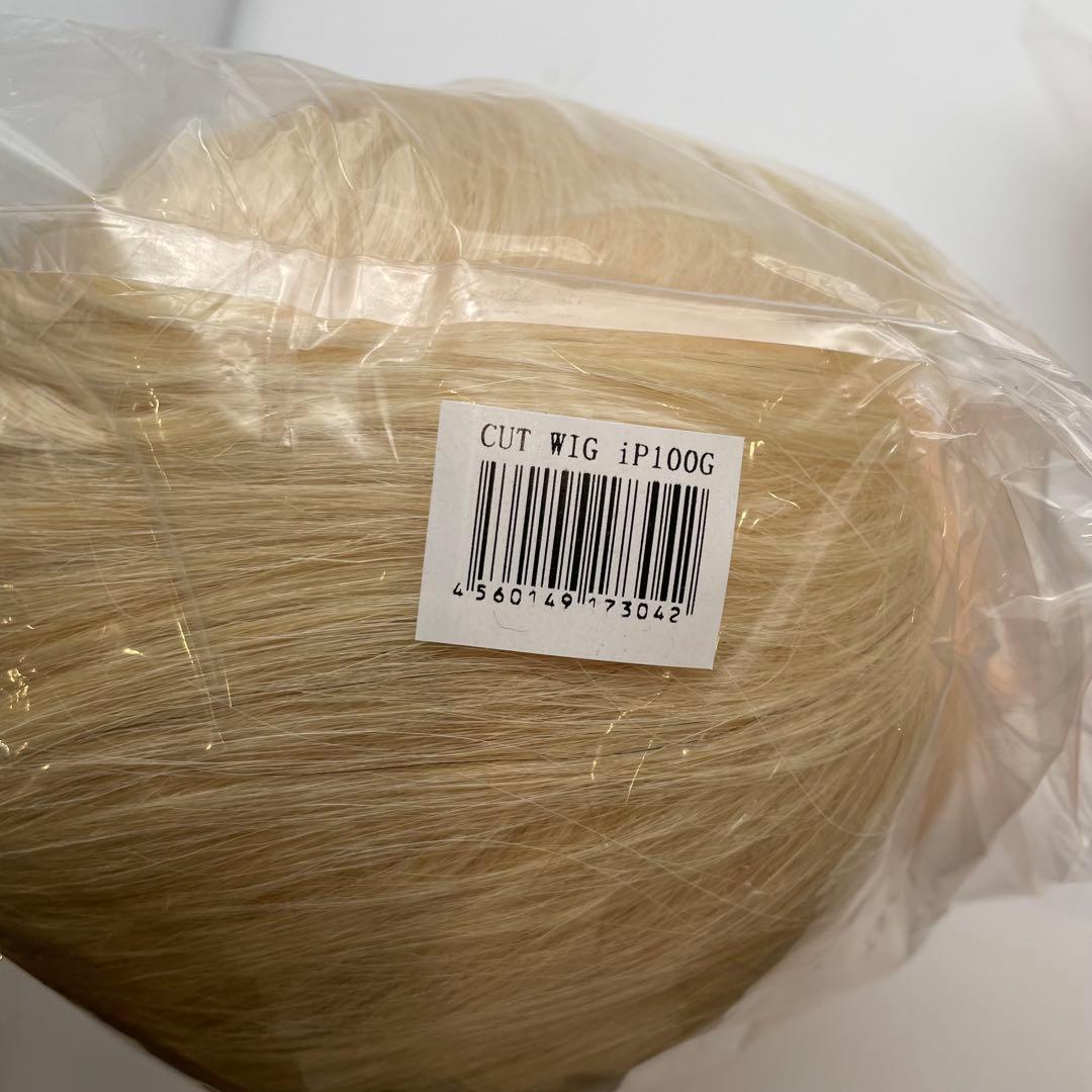 カットウィッグ　カットマネキン　ヘアアレンジ　IP100G 新品未使用