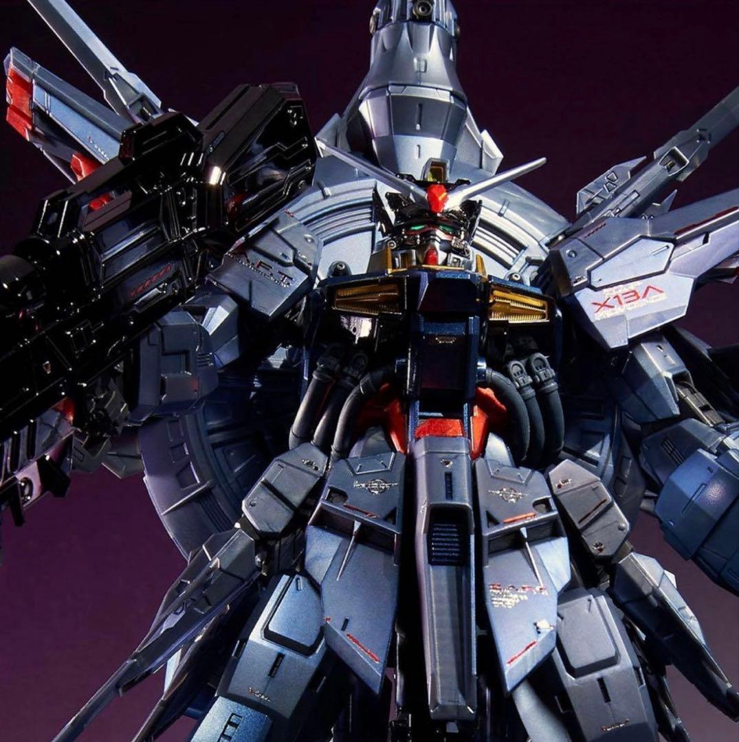 プロヴィデンスガンダム スペシャルコーティング MG 1/100 新品未開封品